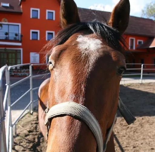 Podripska Farma Feriegård Roudnice nad Labem